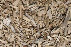 biomass boilers Little Heath